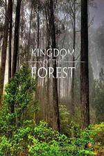 Watch National Geographic Kingdom of the Forest Soap2day