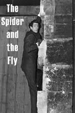 Watch The Spider and the Fly Soap2day