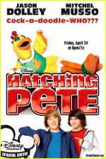 Watch Hatching Pete Soap2day