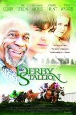 Watch The Derby Stallion Soap2day