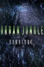 Watch National Geographic Wild Urban Jungle Downtown Soap2day