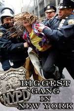 Watch NYPD: Biggest Gang in New York? Soap2day