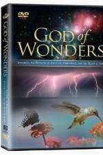 Watch God of Wonders Soap2day