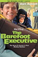 Watch The Barefoot Executive Soap2day