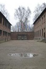 Watch Made in Auschwitz: The Untold Story of Block 10 Soap2day