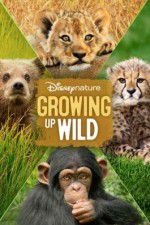 Watch Growing Up Wild Soap2day