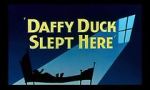 Watch Daffy Duck Slept Here (Short 1948) Soap2day