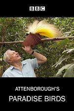 Watch Attenborough's Paradise Birds Soap2day