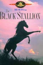 Watch The Black Stallion Soap2day