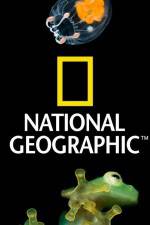 Watch National Geographic Wild Dam Beavers Soap2day