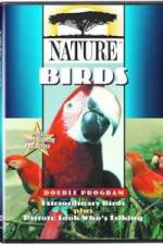Watch PBS Nature - Extraordinary Birds Soap2day