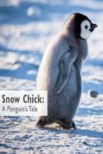 Watch Snow Chick: A Penguin's Tale Soap2day