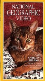 Watch Cats: Caressing the Tiger Soap2day