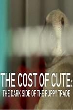 Watch The Cost of Cute: The Dark Side of the Puppy Trade Soap2day