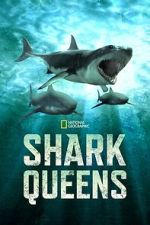 Watch Shark Queens Soap2day