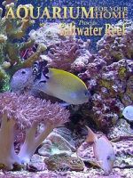 Watch Aquarium for Your Home: Saltwater Reef Soap2day