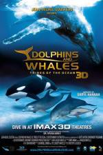 Watch Dolphins and Whales 3D Tribes of the Ocean Soap2day