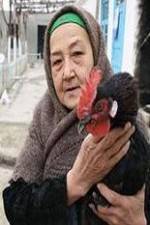 Watch The Telegram Soap2day