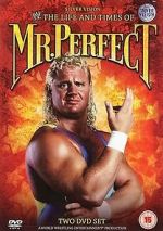 Watch The Life and Times of Mr. Perfect Soap2day