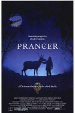 Watch Prancer Soap2day