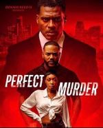 Watch Perfect Murder Soap2day