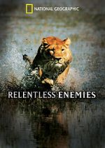 Watch Relentless Enemies Soap2day