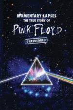 Watch Pink Floyd: Momentary Lapses - The True Story Of Pink Floyd Soap2day