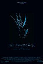 Watch The Hunchback Soap2day