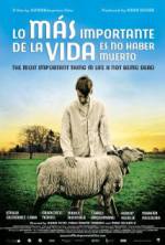 Watch The Most Important Thing in Life Is Not Being Dead Soap2day