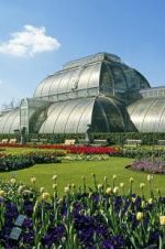 Watch Cruickshank on Kew: The Garden That Changed the World Soap2day