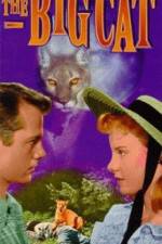 Watch The Big Cat Soap2day