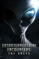 Watch Extraterrestrial Encounters: The Greys Soap2day