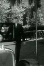 Watch Night Life in Reno Soap2day