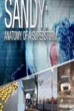 Watch Sandy Anatomy Of A Superstorm Soap2day