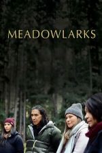 Watch Meadowlarks Soap2day