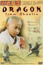 Watch Long zai Shaolin Soap2day