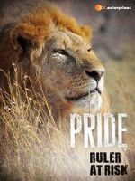 Watch Pride - Ruler\'s at Risk Soap2day