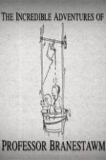 Watch The Incredible Adventures of Professor Branestawm Soap2day