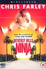 Watch Beverly Hills Ninja Soap2day