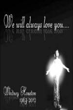 Watch Whitney Houston We Will Always Love You Soap2day