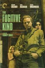 Watch The Fugitive Kind Soap2day