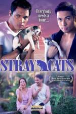 Watch Stray Cats Soap2day