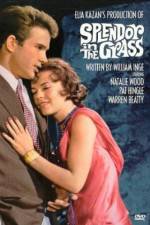 Watch Splendor in the Grass Soap2day