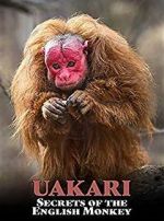 Watch Uakari: Secrets of the English Monkey Soap2day