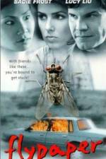 Watch Flypaper Soap2day