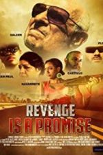 Watch Revenge Is a Promise Soap2day
