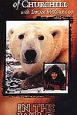 Watch The Polar Bears of Churchill with Ewan McGregor Soap2day