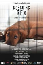 Watch Rescuing Rex Soap2day