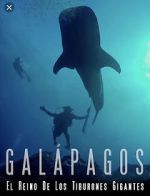 Watch Galapagos: Realm of Giant Sharks Soap2day