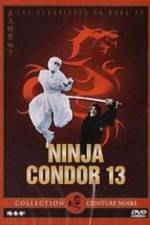 Watch Ninjas Condors 13 Soap2day
